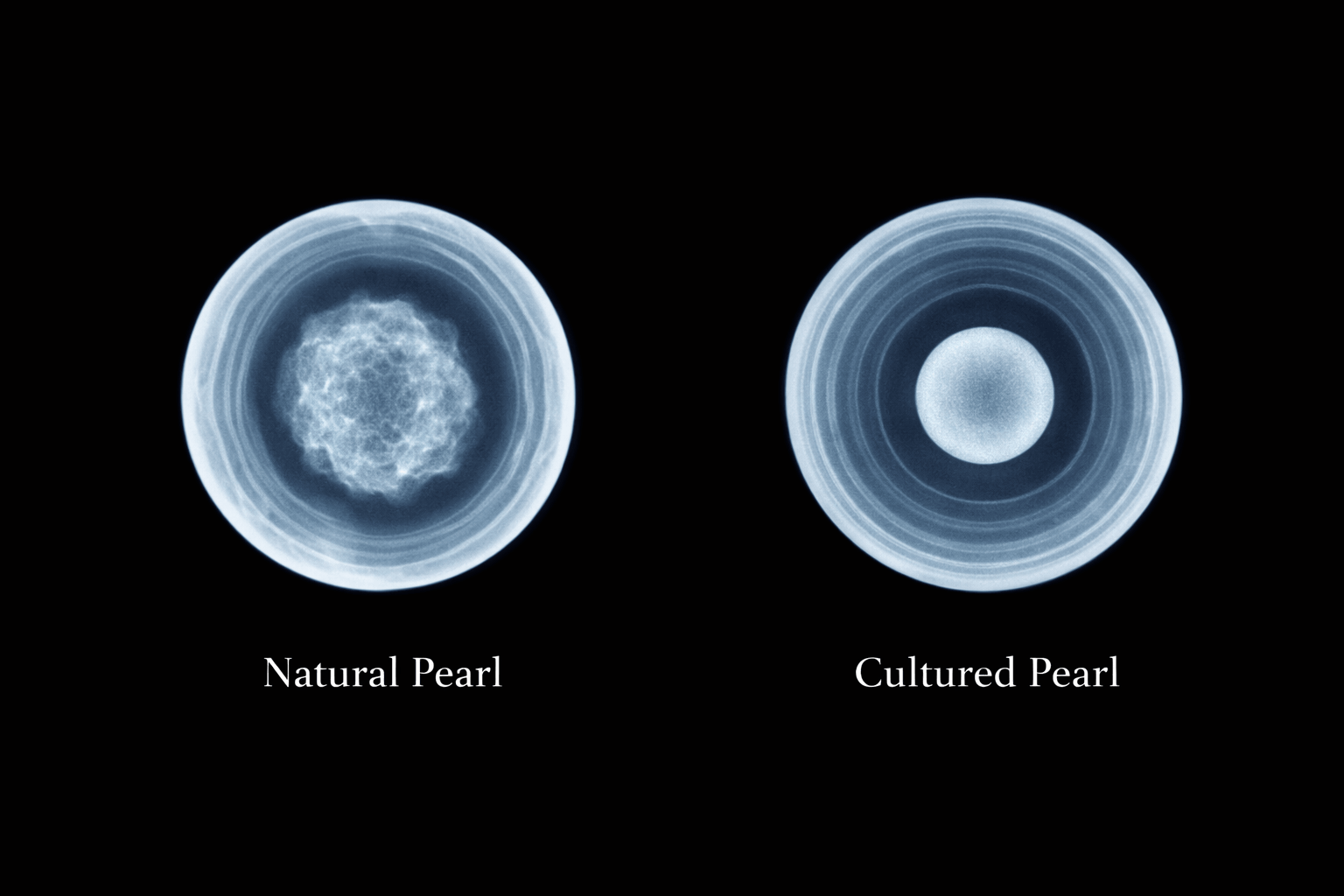 pearlsonly-blog-110-image-3-pearl - Como diferenciar naturais de cultivadas - Joias de Pérolas - pearlsonly
