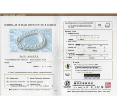 7.5-8mm Akoya japonesa Pulseira em Hanadama de 7,5 polegadas Branco