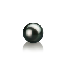 7-8mm Akoya japonesa Pérola Solta em Preto