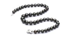 9.5-11mm taitiano Colar em Preto