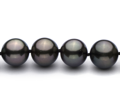 9.2-10.9mm taitiano Colar em Preto