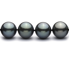 12-12.9mm taitiano Colar em Q118 Preto