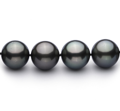13-15.5mm taitiano Colar em Preto