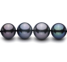 11.1-14.6mm taitiano Colar em Multicolorido
