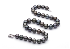 11.1-13.5mm taitiano Colar em Multicolorido