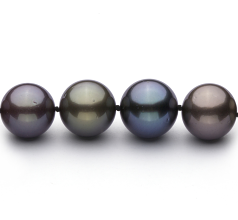 11.1-13.5mm taitiano Colar em Multicolorido