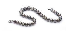 11-14.6mm taitiano Colar em Multicolorido