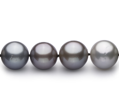 11-14.6mm taitiano Colar em Multicolorido