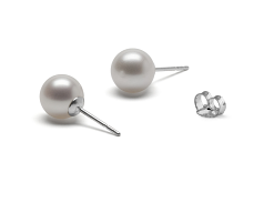 8-8.5mm Água doce Conjunto de brincos em Branco
