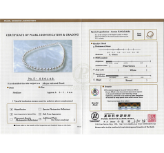 8-8.5mm Akoya japonesa Colar em Hanadama 16 polegadas Branco
