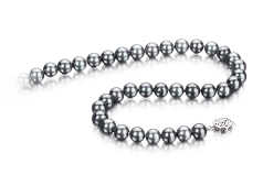 7-7.5mm Akoya japonesa Colar em Preto-Prata
