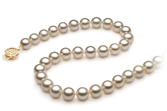 7.5-8mm Akoya japonesa Colar em Branco