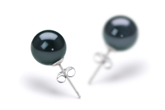 8.5-9mm Akoya japonesa Conjunto de brincos em Preto