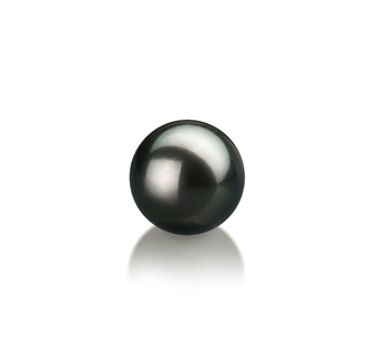 7-8mm Akoya japonesa Pérola Solta em Preto