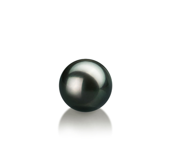 7-8mm Akoya japonesa Pérola Solta em Preto